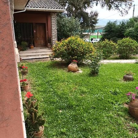 Vivenda Do Sobreiro Al Lägenhet Serpins Exteriör bild