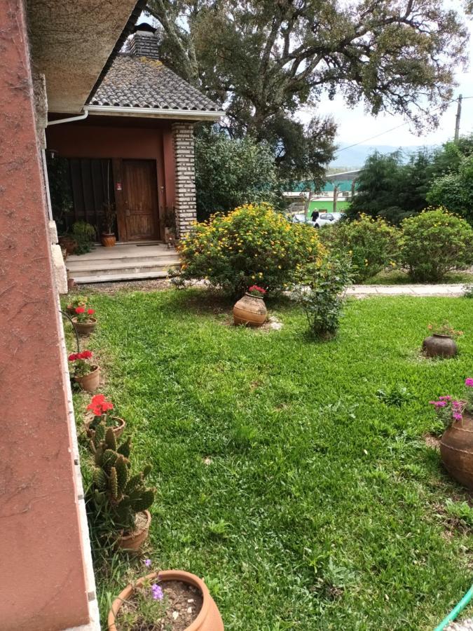 Vivenda Do Sobreiro Al Lägenhet Serpins Exteriör bild